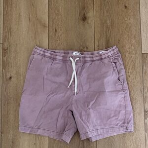 PacSun Light Purple Drawstring Shorts